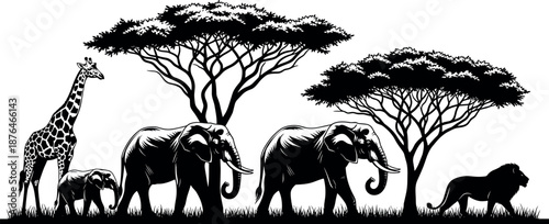 African wildlife silhouette with giraffe, elephants, lion, acacia trees, savanna landscape vector – flavector