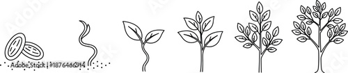 Plant growth stages from seed to tree in black and white educational diagram – flavector