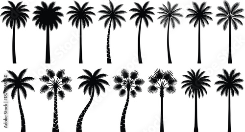 Black palm tree silhouettes collection with tropical coconut trees, summer beach nature icons set isolated on white background for design use