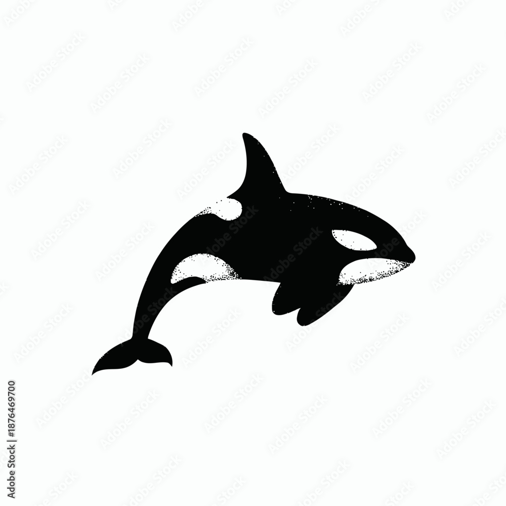 Obraz premium Orca illustration jumping out of water with black and white color scheme