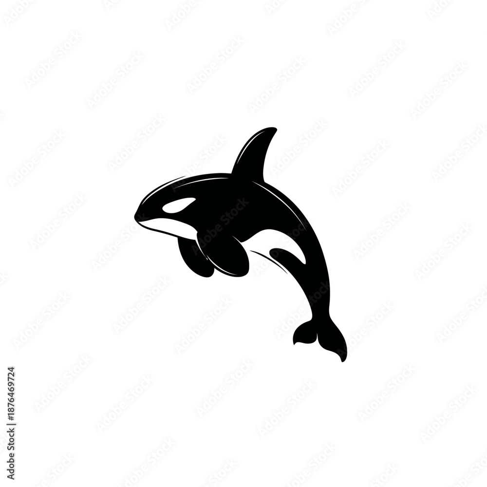 Obraz premium Orca illustration jumping vector graphic isolated on white background