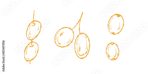 Olive, Mediterranean illustration. Yellow olives clipart, brined olive set. Olive branch icons, culinary garnish art