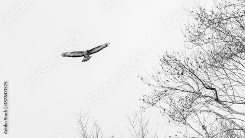 Winterflug