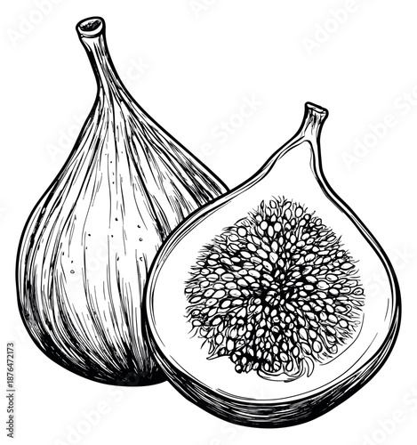 Hand drawn line art fig set featuring whole and half figs for healthy eating and botanical designs