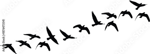 Flock of flying birds silhouette, migration concept, wildlife freedom background, black bird shapes, minimalist nature flight illustration