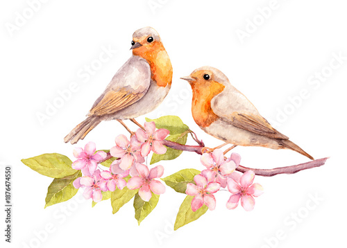 Watercolor illustration of two small birds sitting on a blooming branch with pink flowers. Delicate spring nature artwork with birds and blossoms on white background. Perfect for greeting cards, wall 
