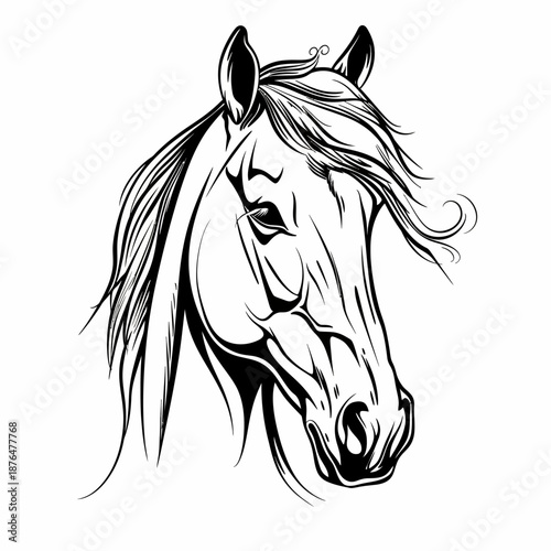 Elegant black and white horse head illustration for design and print