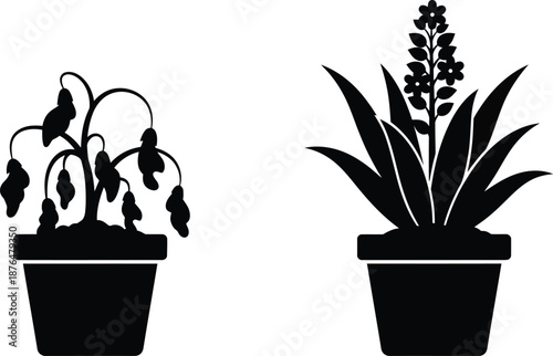 Two potted plants in silhouette style on transparent background