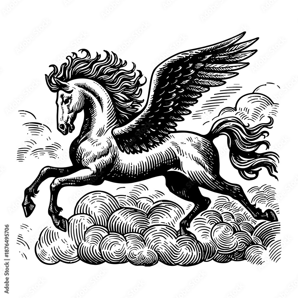 Fototapeta premium Mythical Winged Horse Pegasus Flying Above Clouds In Engraving Style Black And White Art
