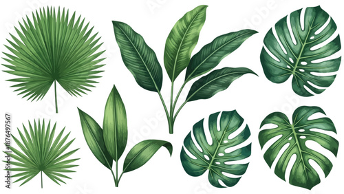 A vibrant collection of tropical leaves showcasing diverse botanical shapes and textures