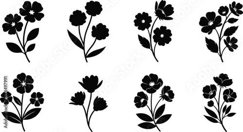 set of black flowers and leaves in silhouette on transparent background