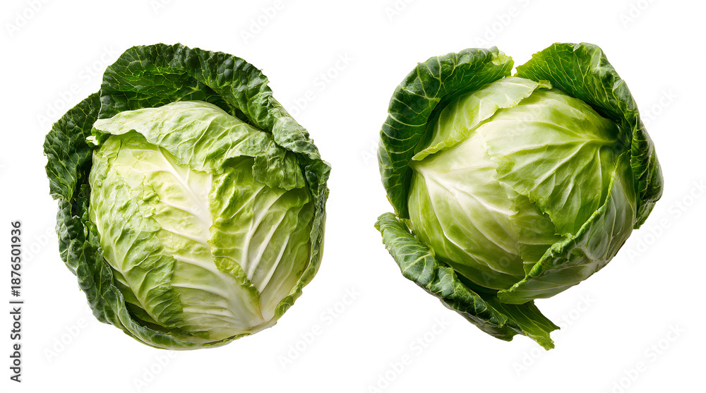Obraz premium Fresh Chinese Cabbage Heads Isolated on Black Background PNG set with transparent background