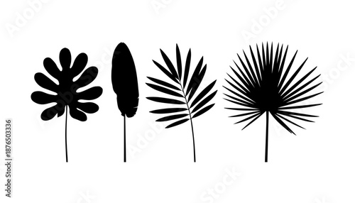 Tropical leaf silhouette set with varied shapes.