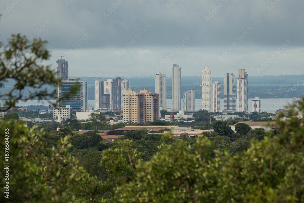 Obraz premium Palmas Tocantins