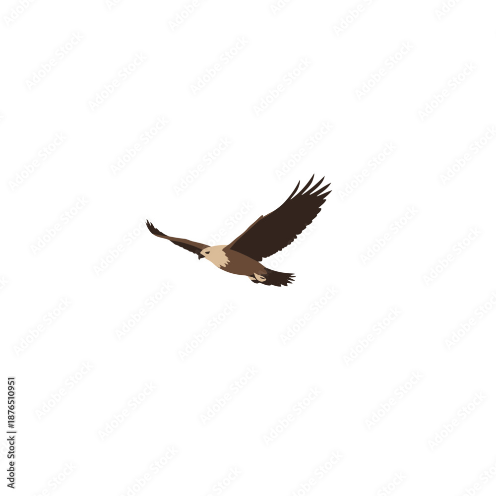 Obraz premium Bald Eagle Soaring in Night Sky with Wings Spread Majestic Wildlife Freedom