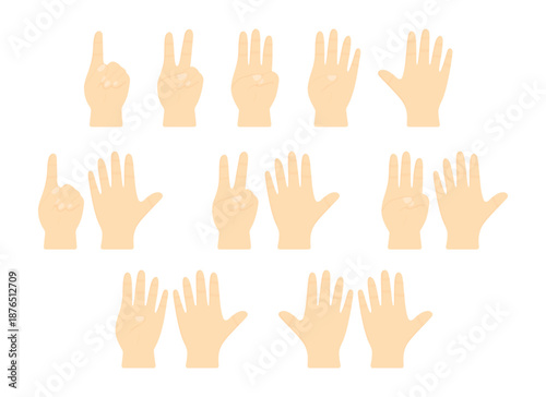 Vector illustration set of human hands showing numbers from one to ten using finger gestures. Counting hand signs isolated on white background, suitable for education, learning, instructions