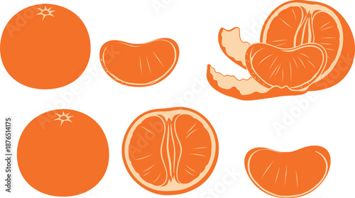 orange fruit illustrations in various views silhouette