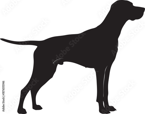 Vector black silhouette of a dog isolated on a white background.