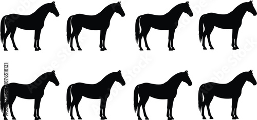 Black horse silhouette pattern set with identical stallions standing in rows isolated on white background for equestrian textile design graphics,