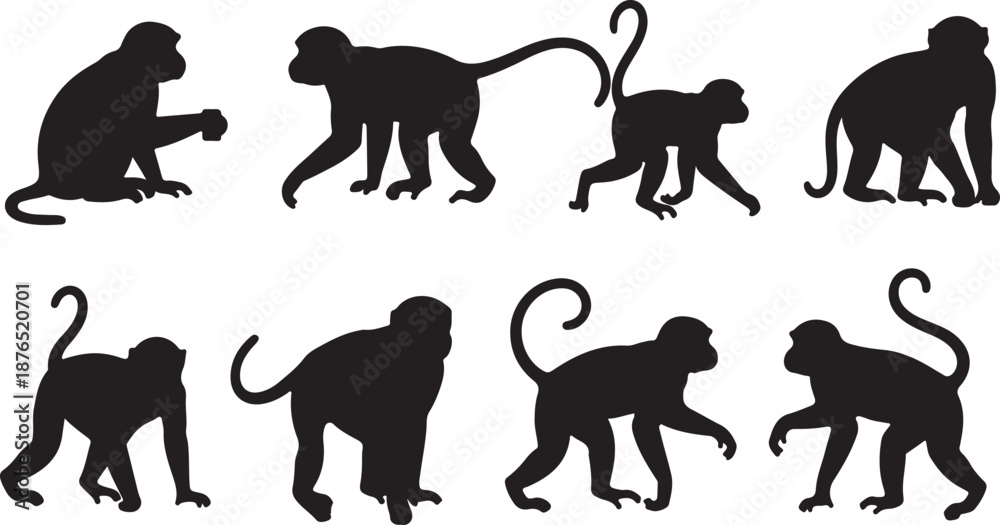 Fototapeta premium A set of monkey silhouettes on a white background. Perfect for designs about animals, nature, wildlife, primates, monkeys, apes, jungle, rainforest, conservation, and education
