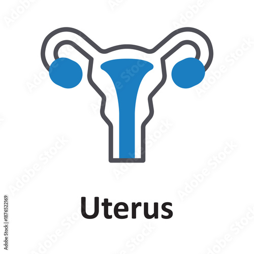 Uterus  Vector Icon which can easily modify or edit