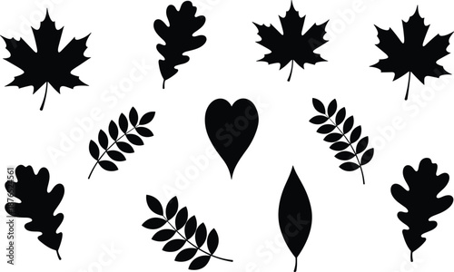 Set of black leaf silhouettes featuring maple oak and rowan leaves with a central heart shape isolated on white background.