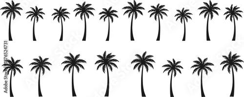 Set of black palm tree silhouettes with tropical coconut and date palm shapes arranged in rows isolated on white background.