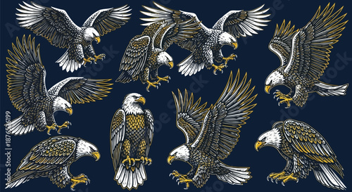A collection of detailed bald eagle illustrations in various dynamic poses