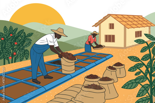 Coffee Plantation Sorting Drying Yard