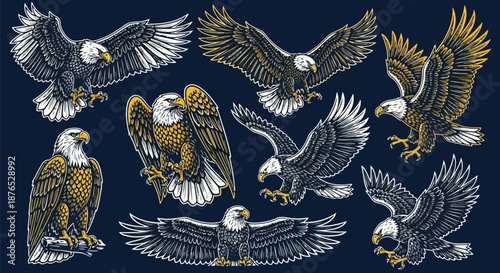 A collection of detailed bald eagle illustrations in various flight poses