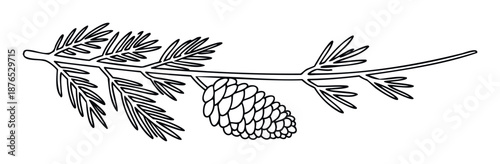 A minimalist black outline drawing of a coniferous tree branch with evergreen needles and a single pine cone, perfect for winter holiday greeting cards, naturethemed decorations, or simple