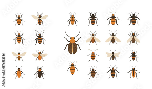 Insects flat vector icon set minimal cartoon symbols isolated on transparent background
