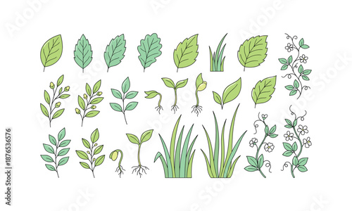 Variety of leaves and sprouts plants herbs vector spring set bundle