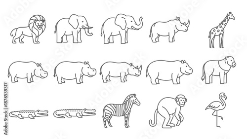 Set of African Safari Animals Line Icons - Vector Illustrations
