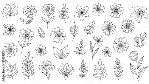 Elegant Collection of Handdrawn Floral Outlines for Design Projects
