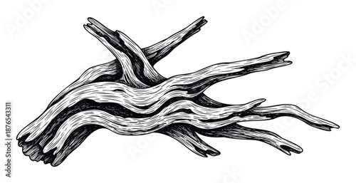 Detailed wood root or gnarled branch drawing featuring organic textures and deep shadows ideal for vintage nature themed graphic compositions or earthy product packaging