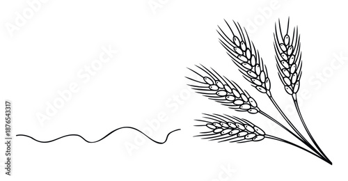 Graphic black outline drawing of multiple wheat ears symbolizing agriculture and harvest, suitable for food product packaging, baking advertisements, or farm industry promotional materials.