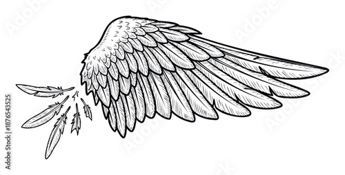 A majestic bird or angel wing with individual feathers gracefully detaching and floating, ideal for spiritual or mystical themed graphics and modern tattoo designs.