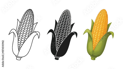 Set of three corn cob icons outline drawing, silhouette and realistic color illustration