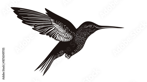 Hummingbird in Flight with Intricate Wing Details