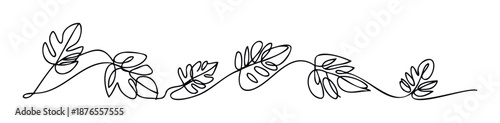 Minimalist continuous line drawing of various botanical leaves and stems creating an elegant natural border for sophisticated branding and organic product packaging