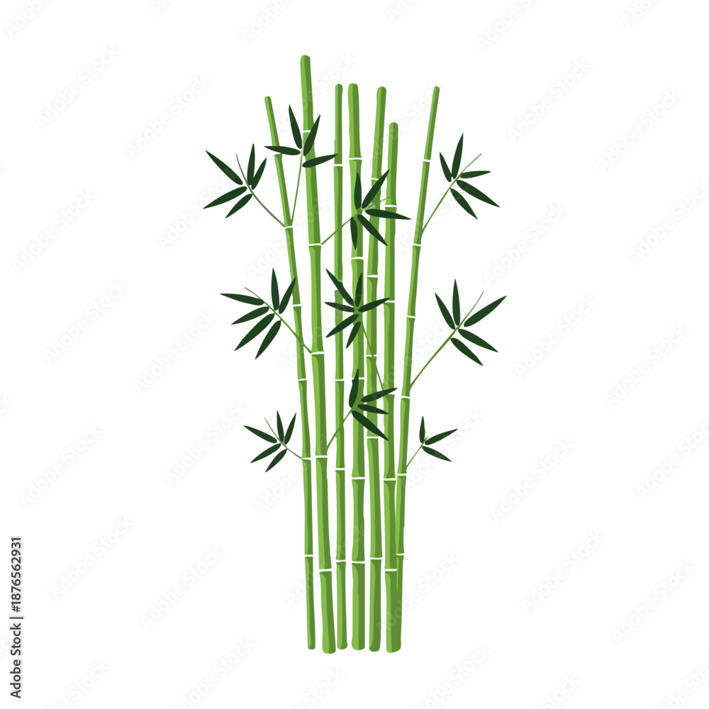 Obraz premium Vibrant Green Bamboo Stalks with Leaves on White Background.