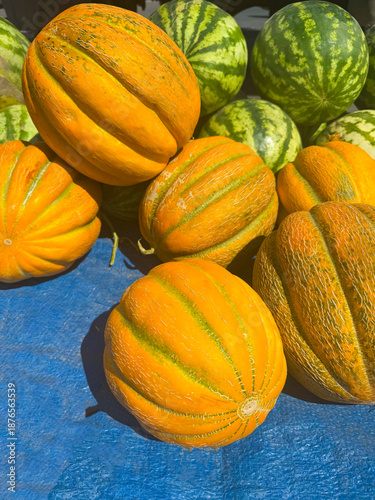 Fresh Melons and Watermelons for Sale at Local Market - Organic Yellow Cantaloupe and Green Watermelon Display. Bishkek, Kyrgyzstan