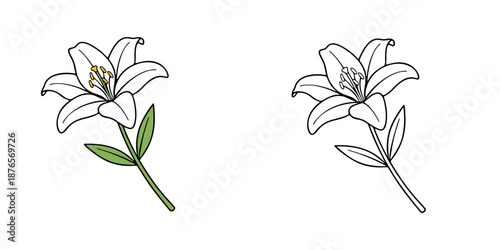 シンプルな白ユリのアイコンイラスト