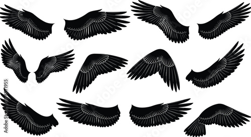 Large collection of black bird and angel wing silhouettes in various flight positions, isolated vector illustration set for heraldry, tattoos, and fantasy design.
