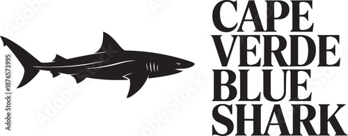 Cape verde blue shark silhouette vector illustration isolated on transparent background design