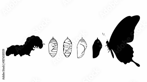 Life cycle of a butterfly from caterpillar to winged insect, illustrating transformation and growth.