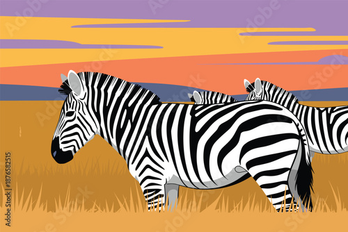 Zebras Grazing in the African Savanna at Sunset, African wildlife concept