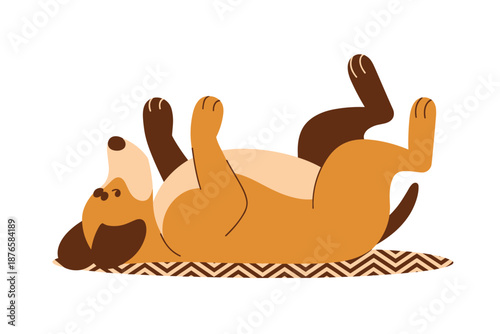 Playful Brown Dog Lying on Its Back on a Rug, pet happiness concept