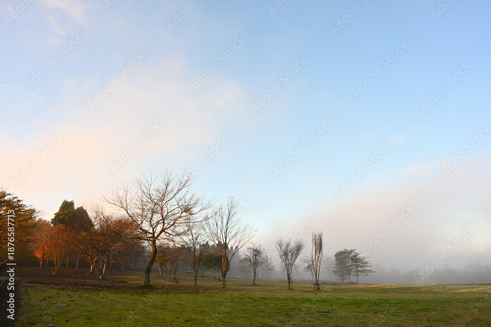 Obraz premium 山本山高原で見られる朝の紅葉風景（新潟県小千谷市）